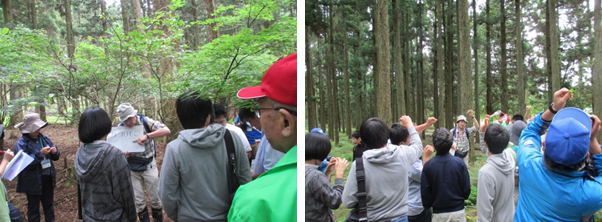 「ケクロモジ」について説明される須田先生・ミカン科の葉っぱの特徴を確認する参加者