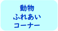 動物ふれあいコーナー