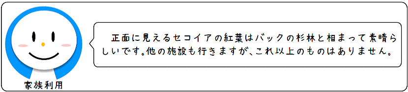 家族利用の声